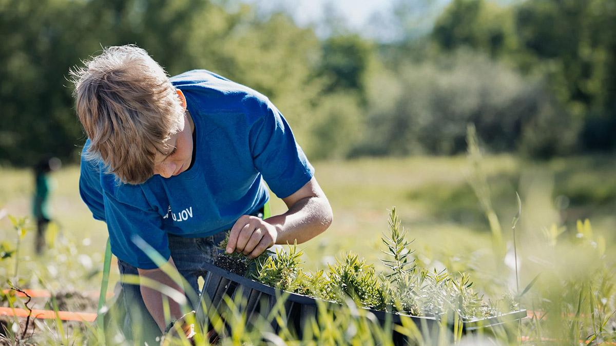 A young person planting seeds